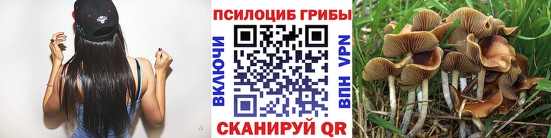 Псилоцибиновые грибы Psilocybine cubensis  Купить  Усть-Катав 