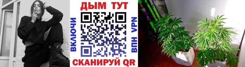 Бошки марихуана THC 21%  Купить  Усть-Катав 